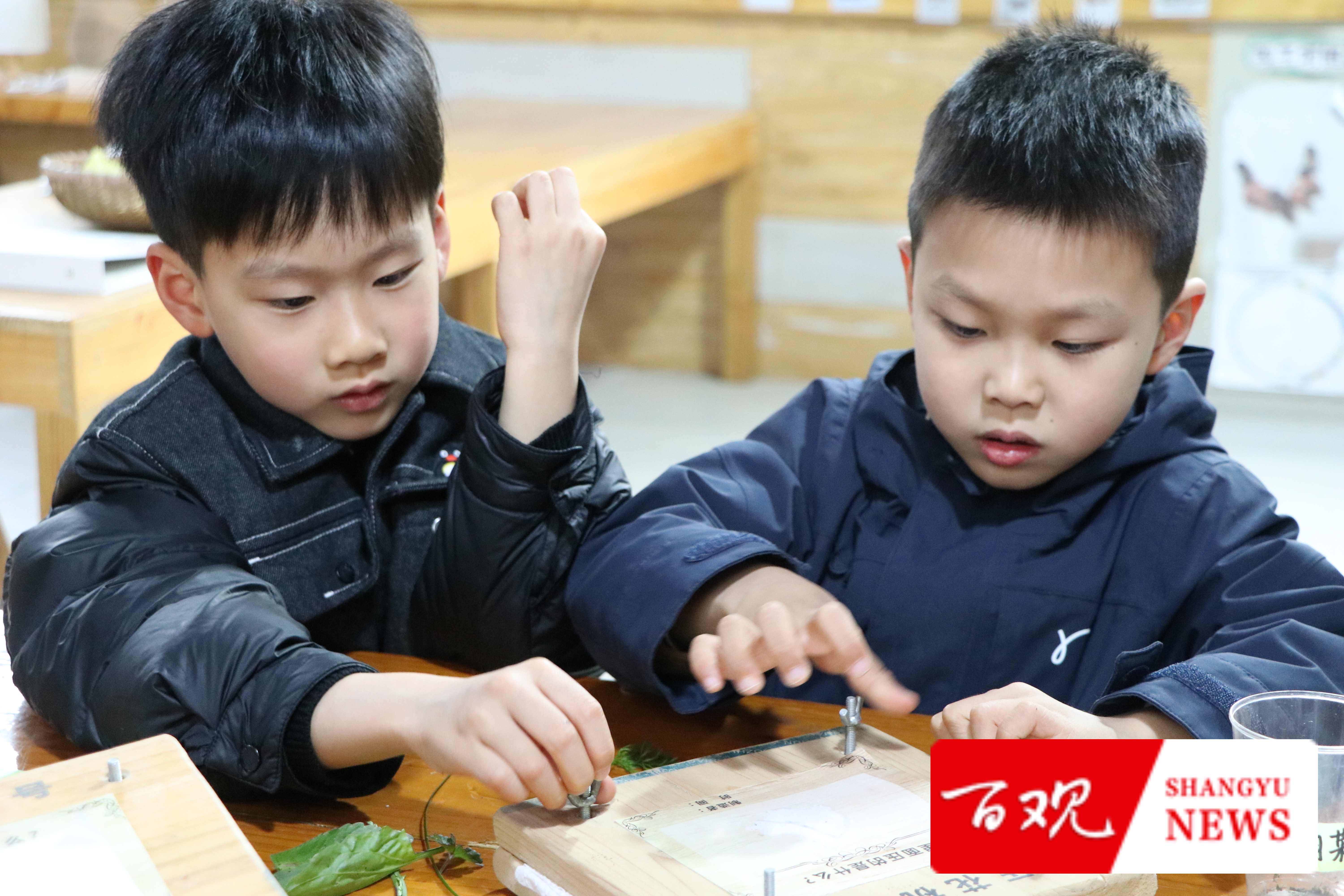 微信圖片_20250313161937.jpg 微信圖片_20250313161937.jpg