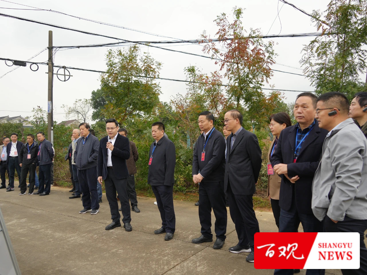 IMG_9727.JPG IMG_9727.JPG