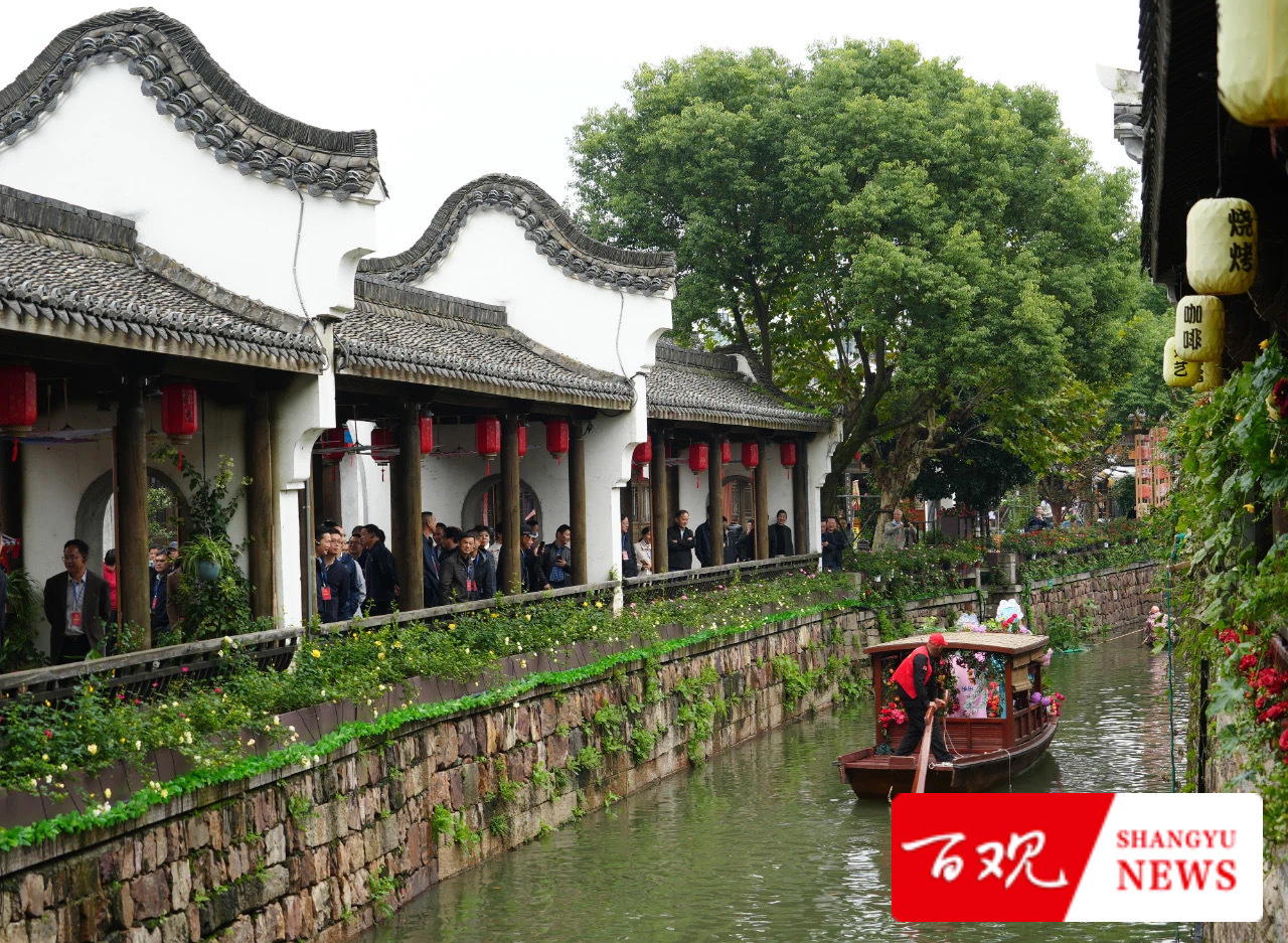 IMG_9730.JPG IMG_9730.JPG