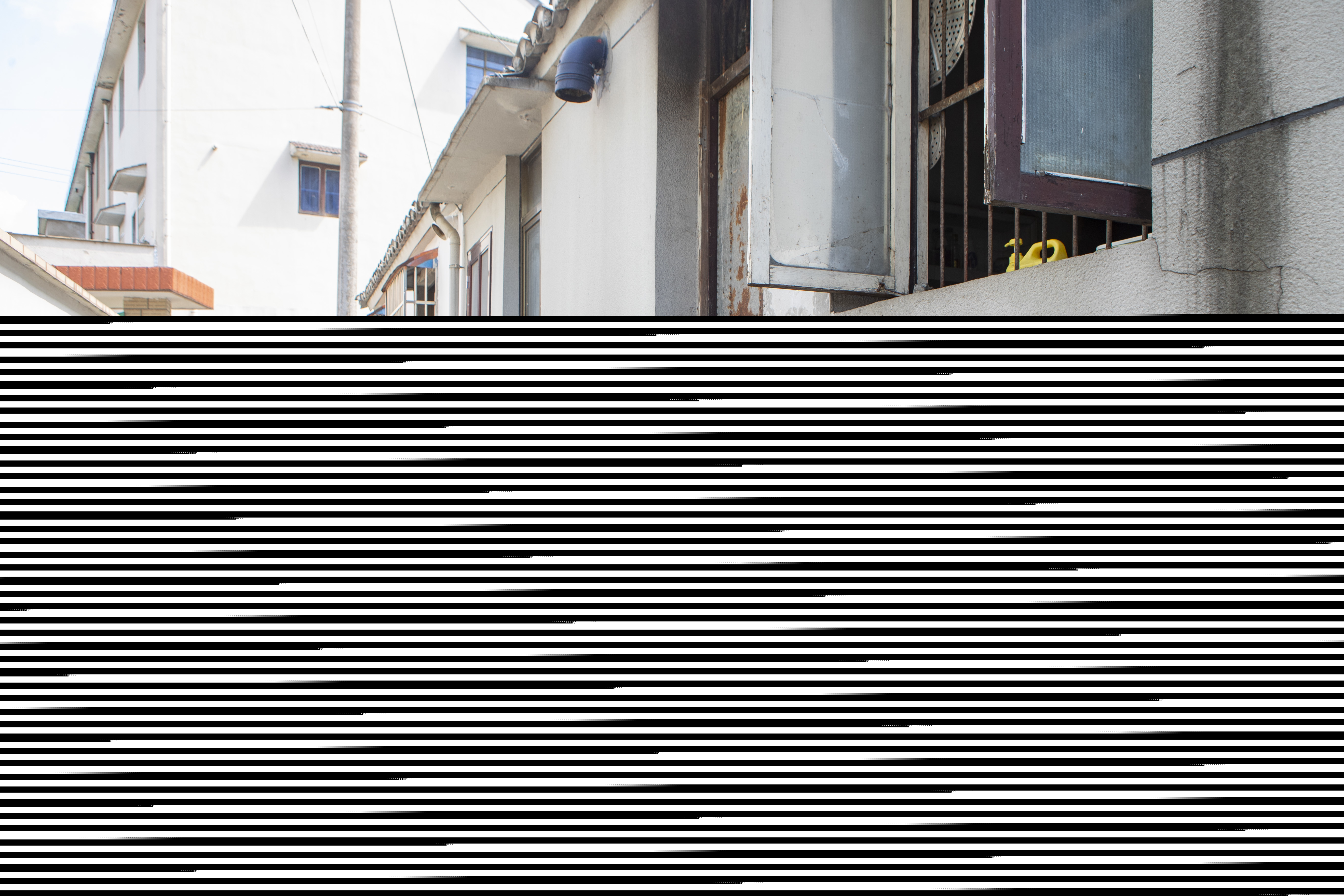 ax2i1682.jpg ax2i1682.jpg