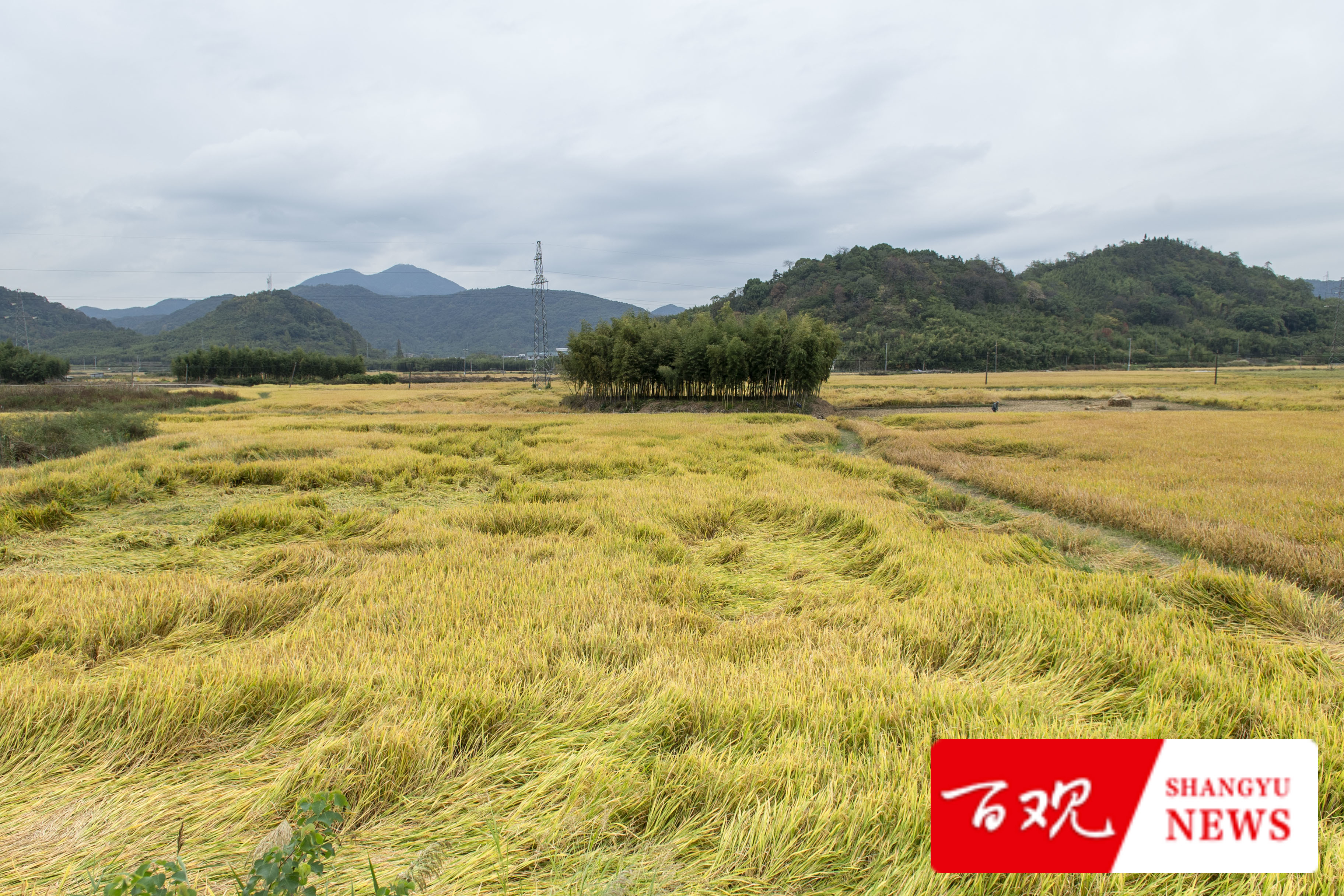 DSC_9574.jpg DSC_9574.jpg