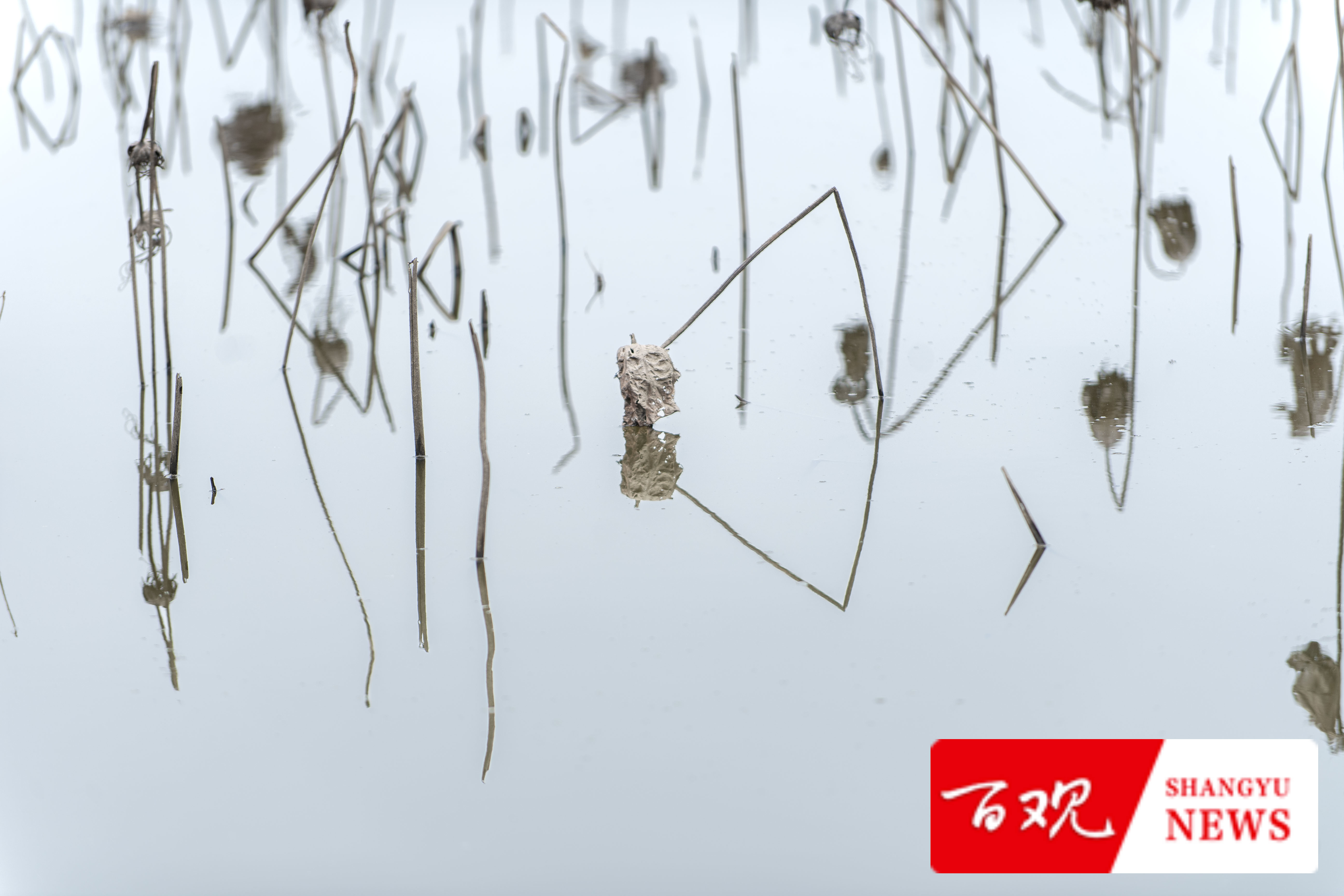 DSC_9624.jpg DSC_9624.jpg