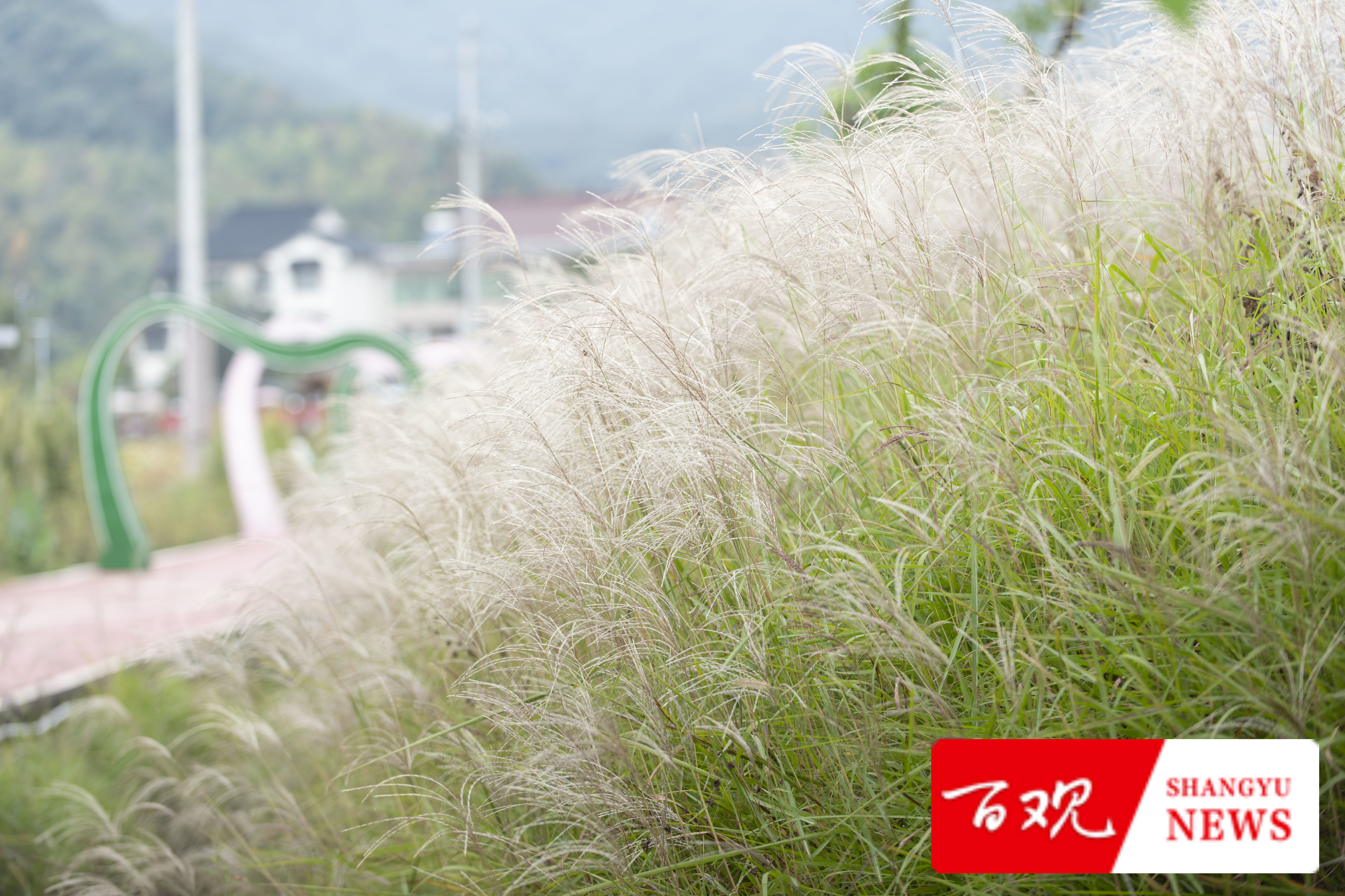 DSC_9628.jpg DSC_9628.jpg