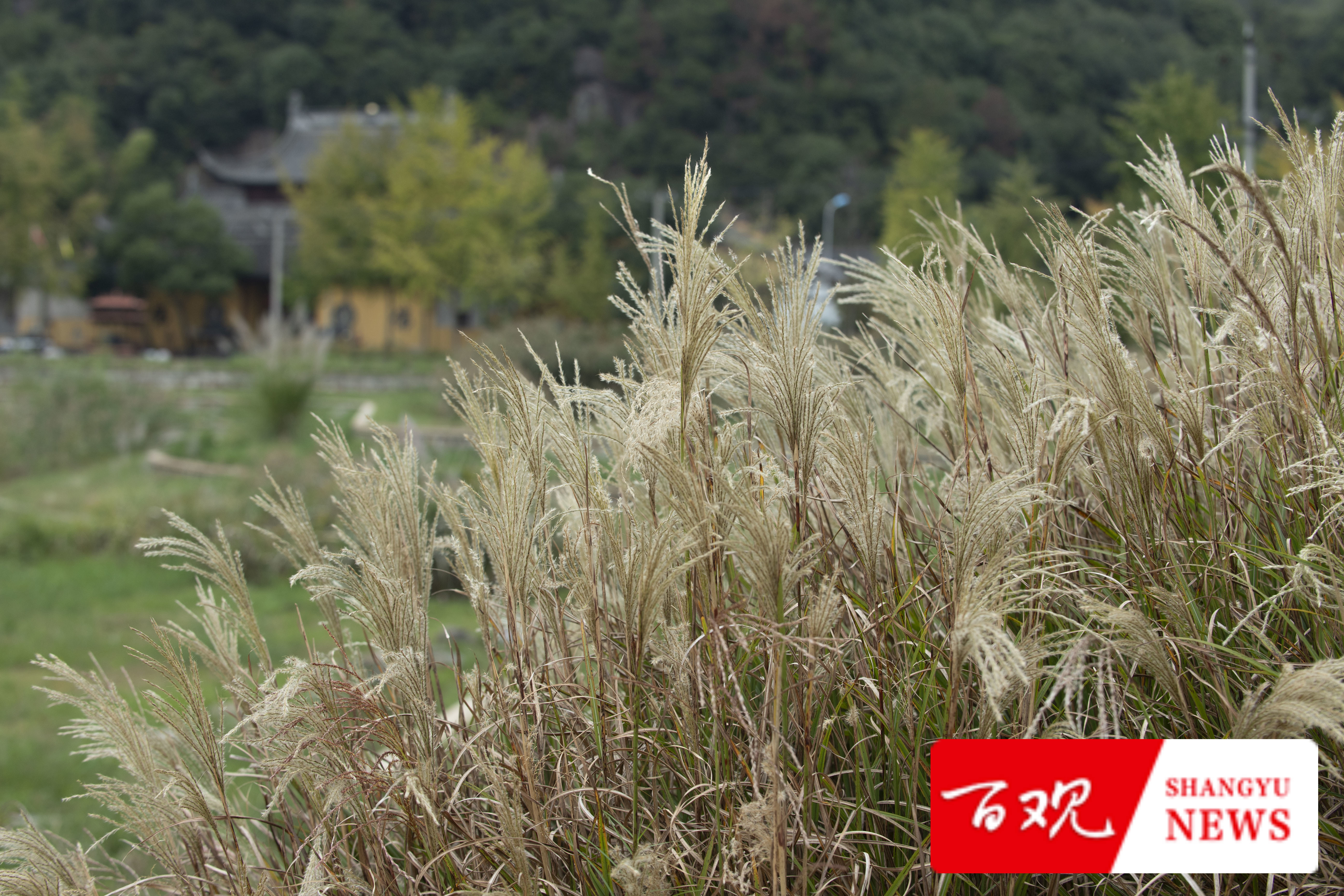 DSC_9636.jpg DSC_9636.jpg