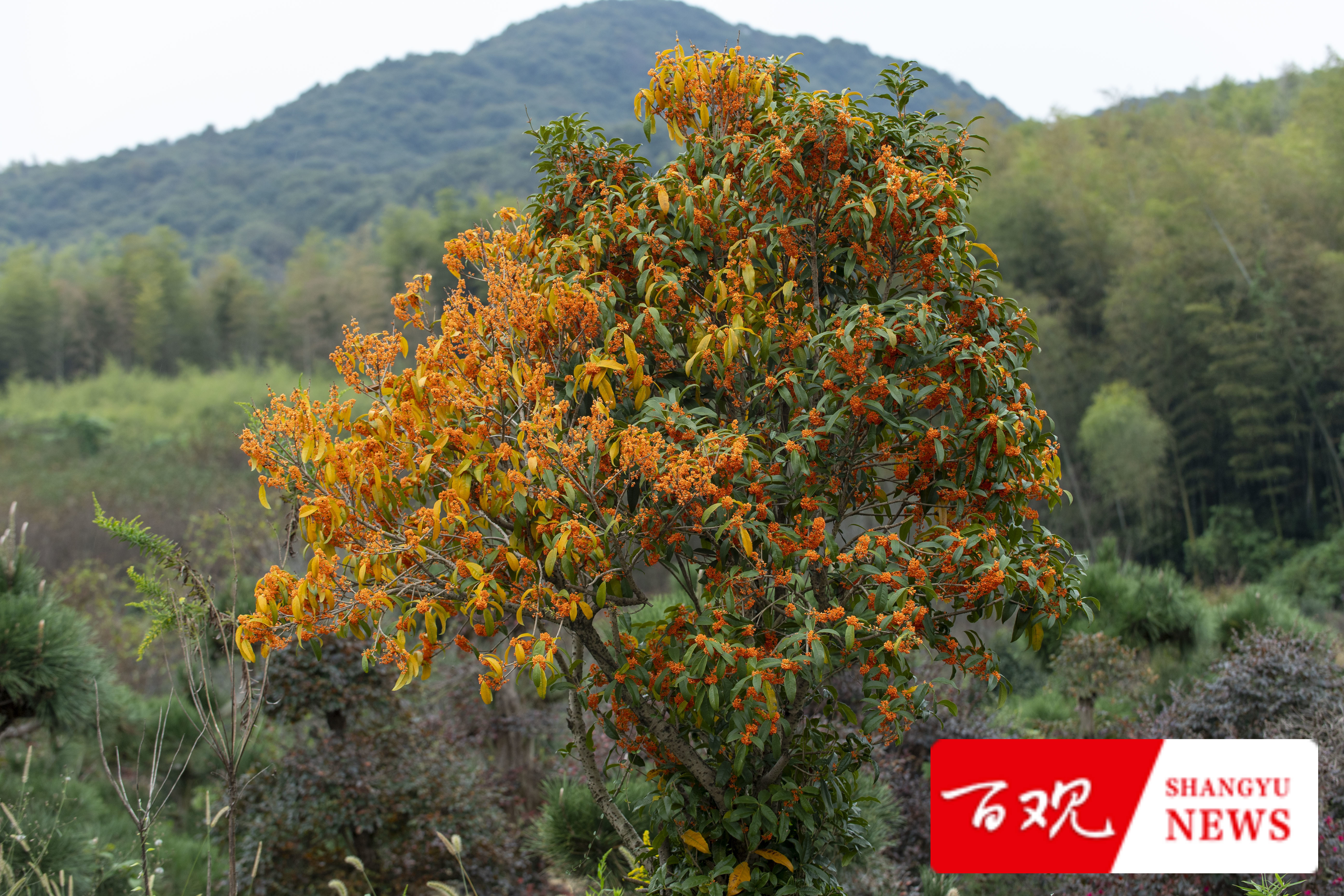 DSC_9648.jpg DSC_9648.jpg