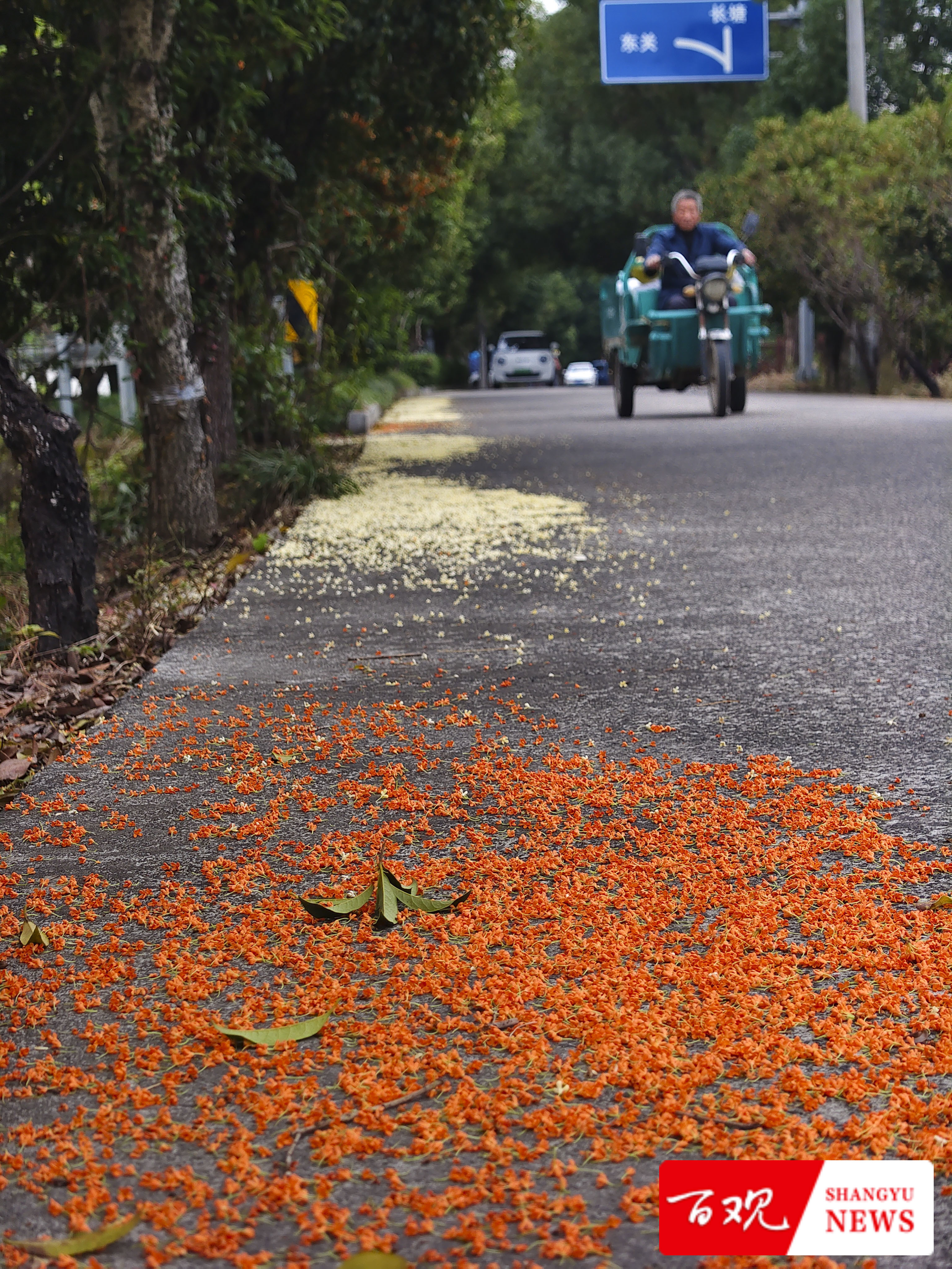 IMG_20251104_091141_1.jpg IMG_20251104_091141_1.jpg