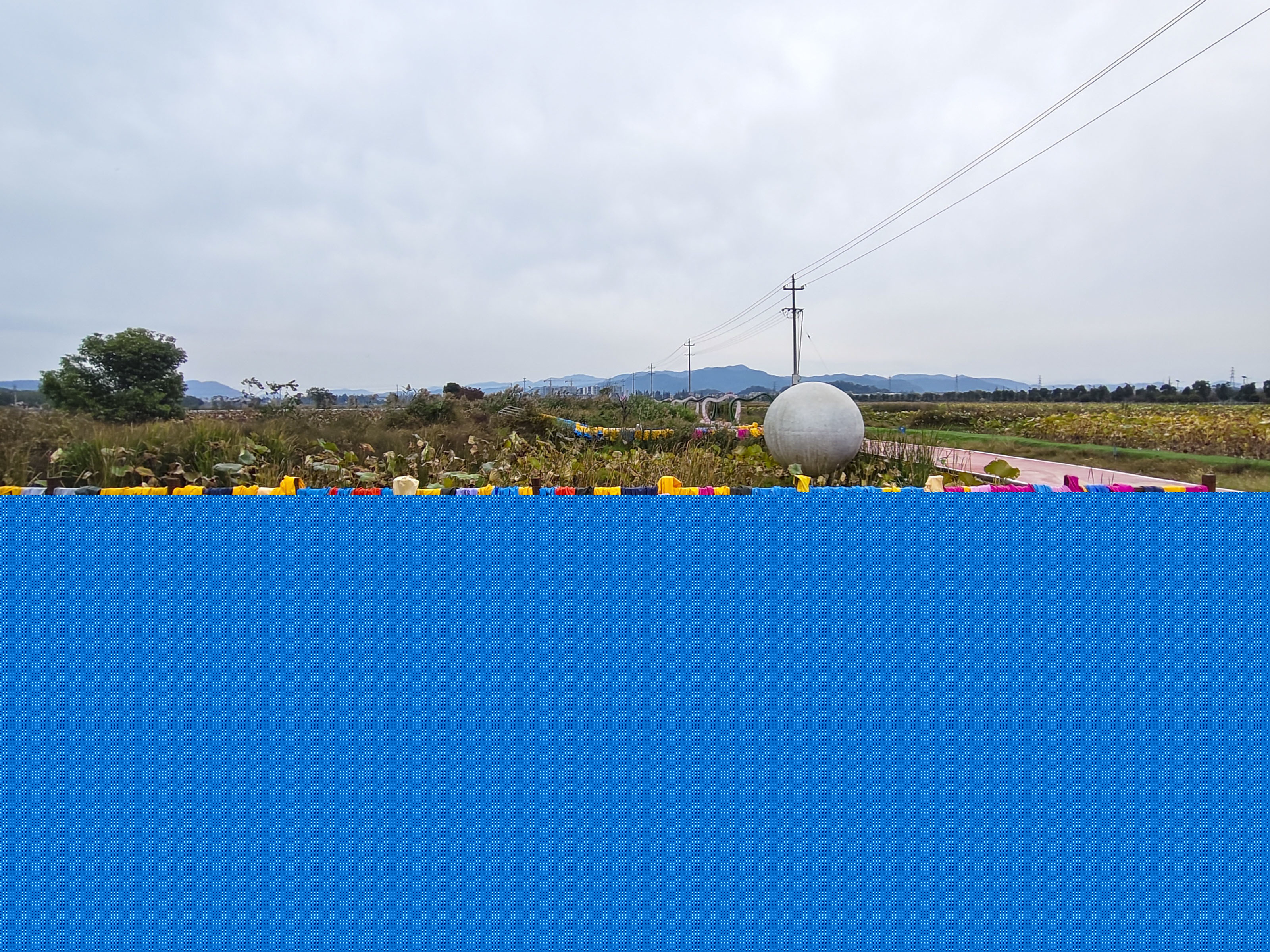 IMG_20251104_113741.jpg IMG_20251104_113741.jpg