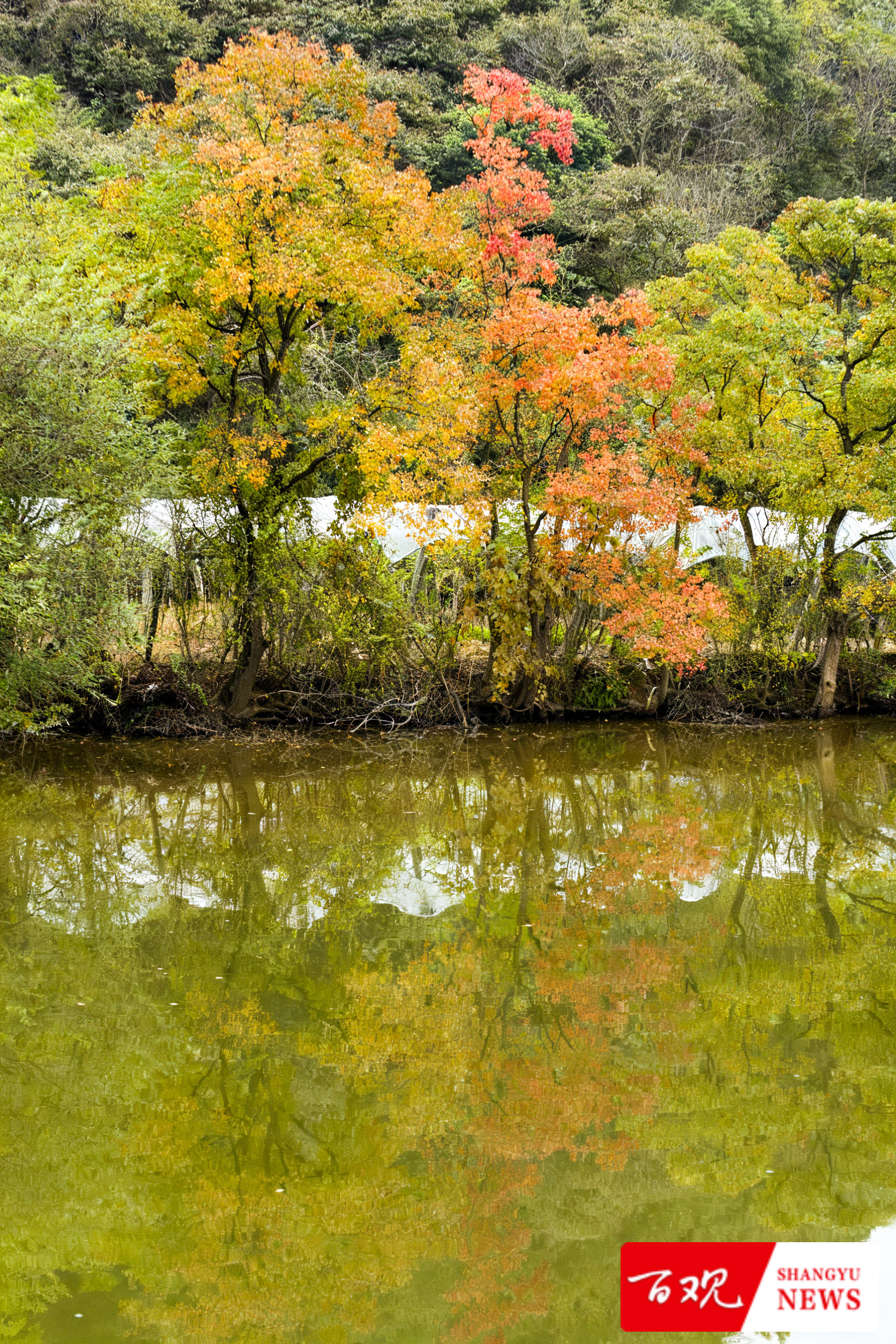 DSC_9644.jpg DSC_9644.jpg