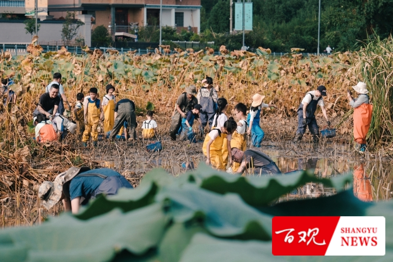 微信圖片_2025-11-24_134313_353.jpg 微信圖片_2025-11-24_134313_353.jpg